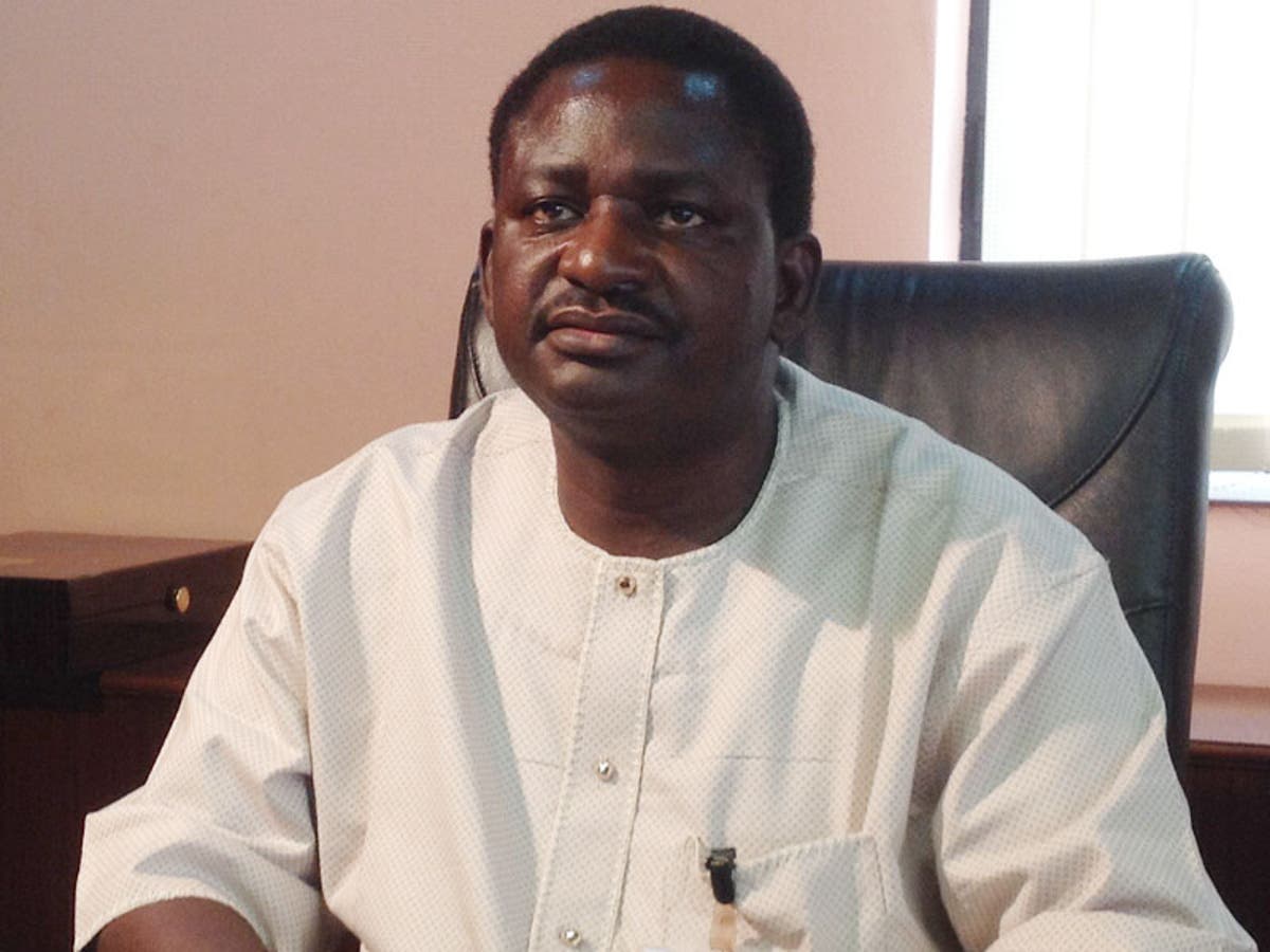 The government is not responsible for job creation, it is not our duty - Femi Adesina