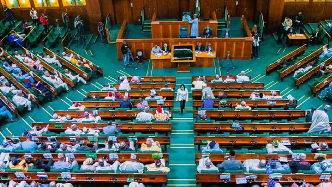 House of representatives raises limit on CBN loans amid protests