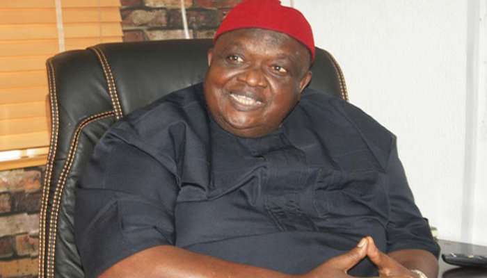 Iwuanyanwu becomes Ohanaeze leader, urges for Kanu's immediate release from detention