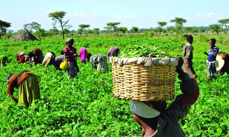 Farmers advocate interest rate reduction to enhance food security